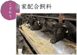 自家配合飼料