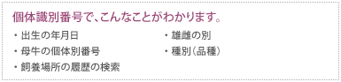 個体識別番号で、こんなことがわかります。